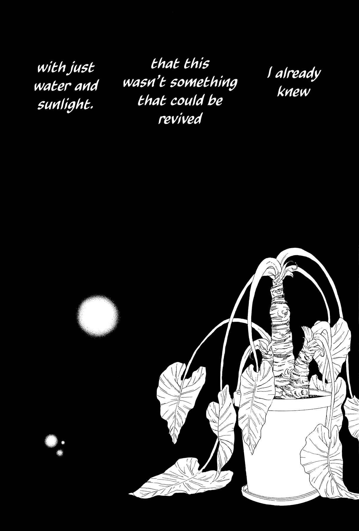 Page 25 Chapter 31 Piece of Cake