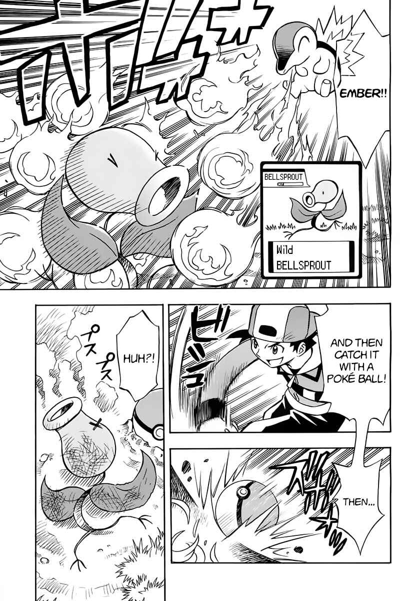 Page 11 Chapter Unknown_a3d6 Pokémon Heart Gold Soul Silver: Pokédex Completion Comic