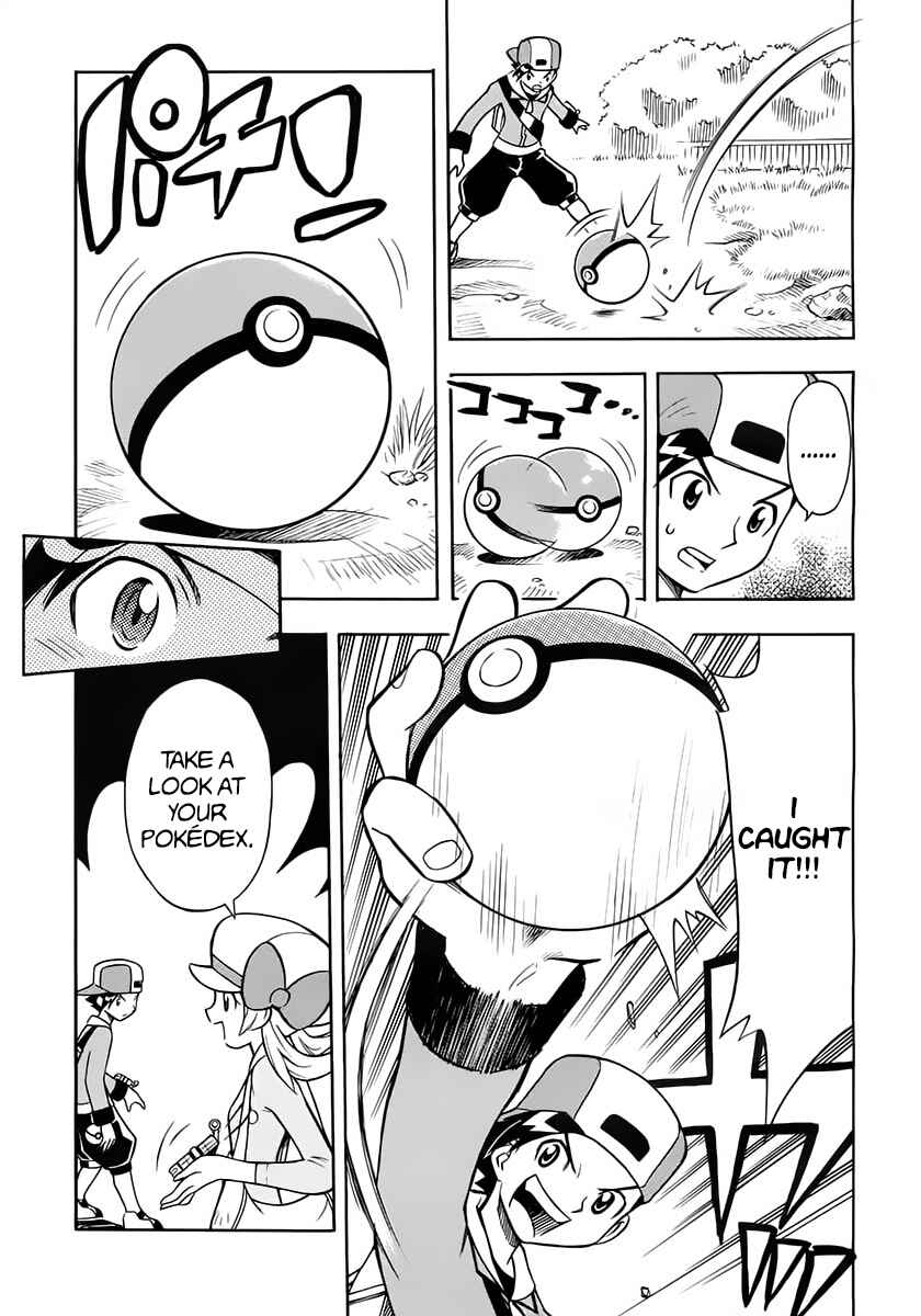 Page 13 Chapter Unknown_a3d6 Pokémon Heart Gold Soul Silver: Pokédex Completion Comic