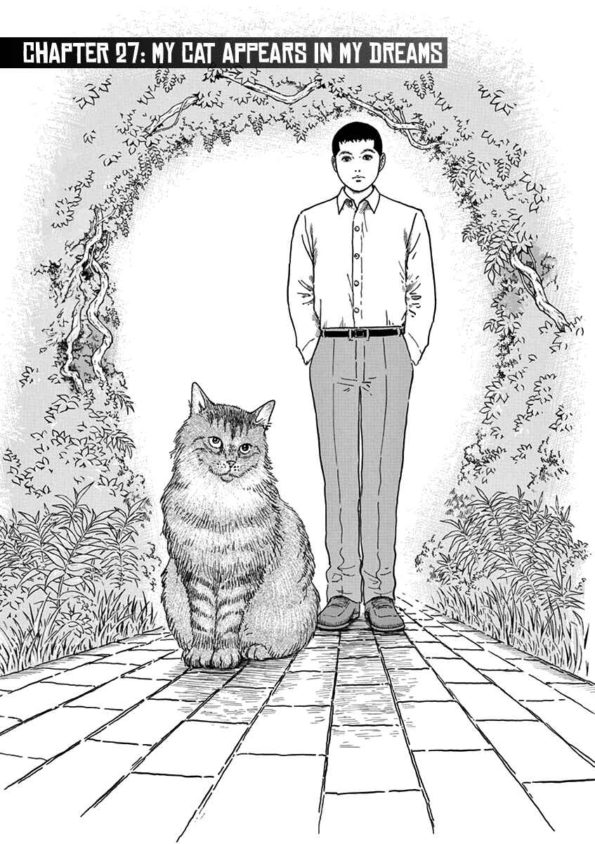 Page 5 Chapter 27 Yuukoku no Rasputin