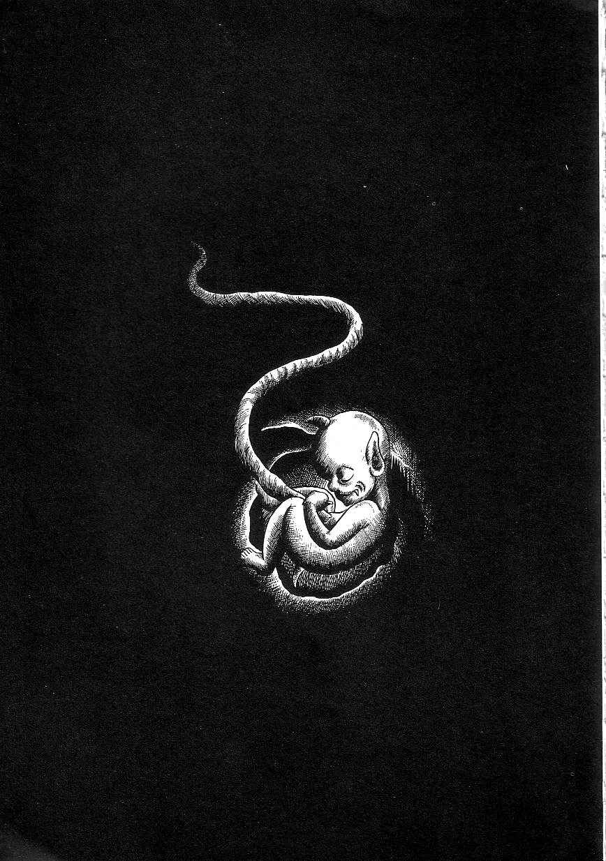 Page 13 Chapter 9 Majo Kyoushi Mayako