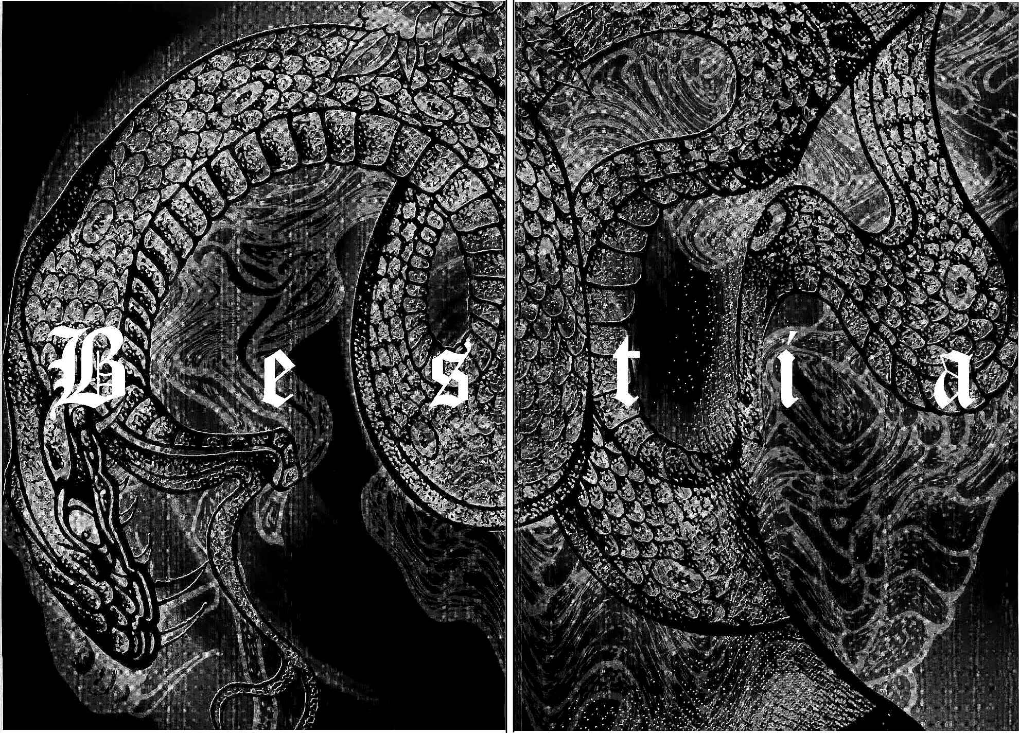 Page 31 Chapter 4 Bestia