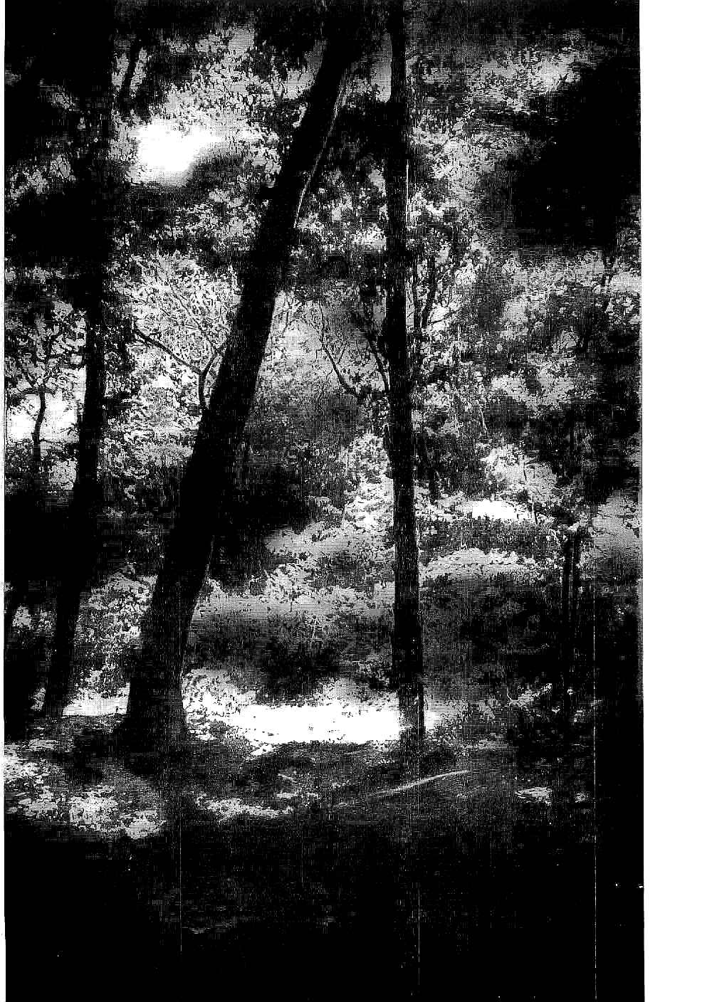 Page 18 Chapter 19 Bestia