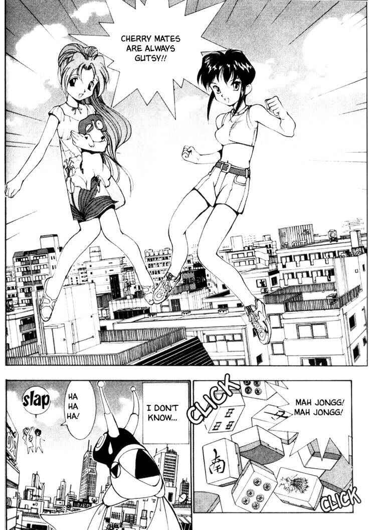 Page 13 Chapter 29 Maico 2010