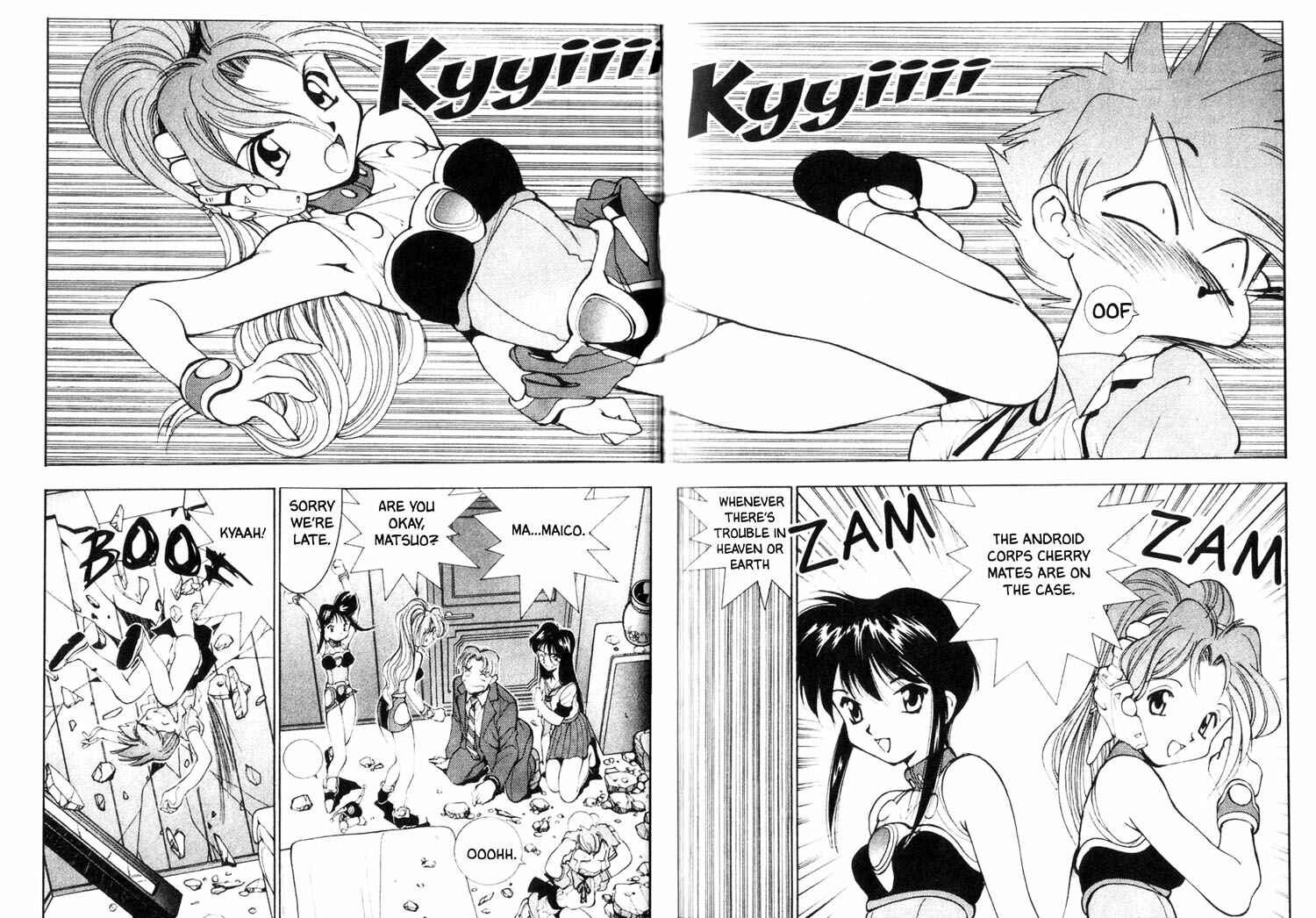 Page 8 Chapter 24 Maico 2010
