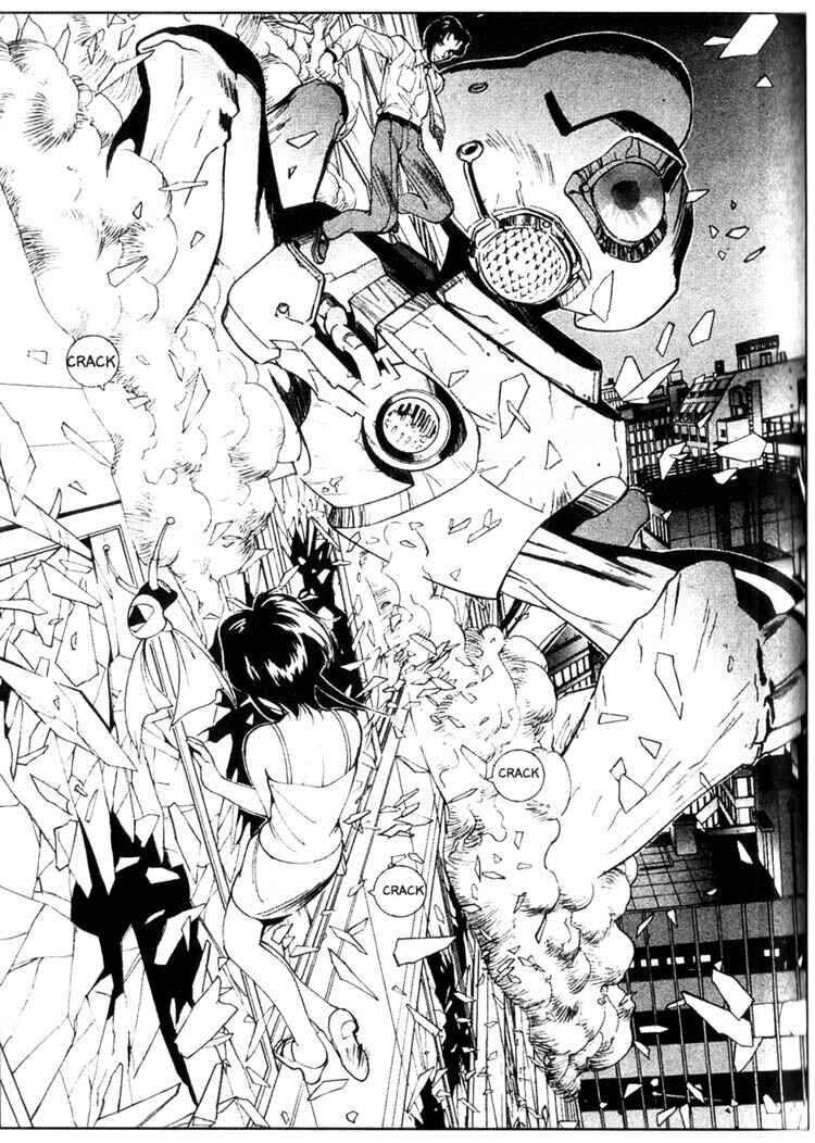 Page 8 Chapter 36 Maico 2010