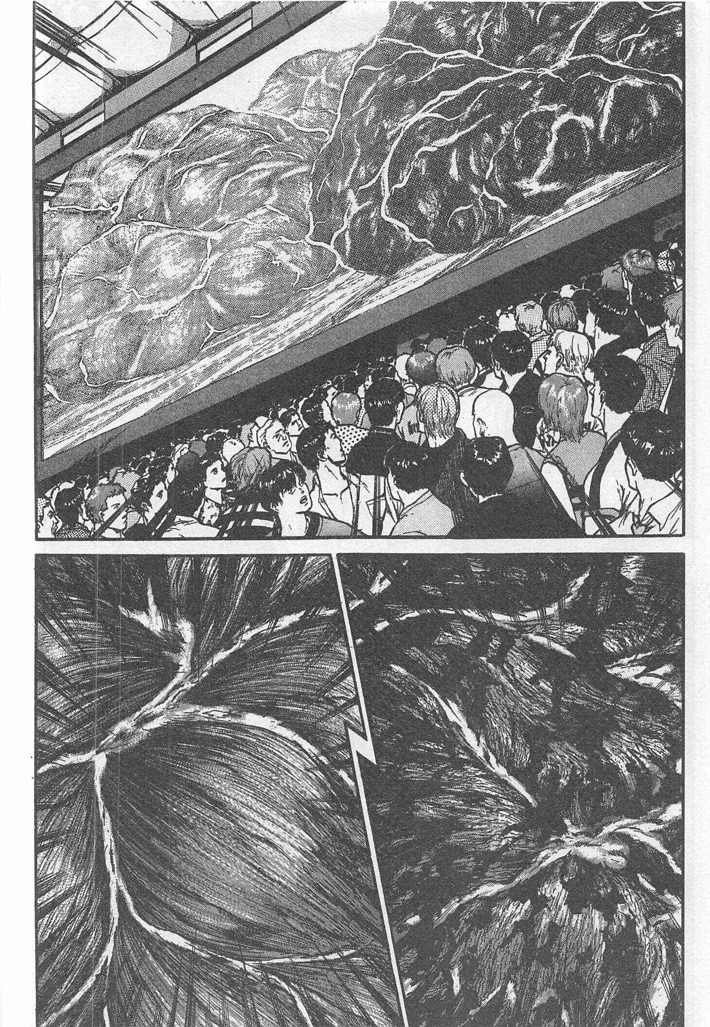 Page 6 Chapter 217 Iron Wok Jan!