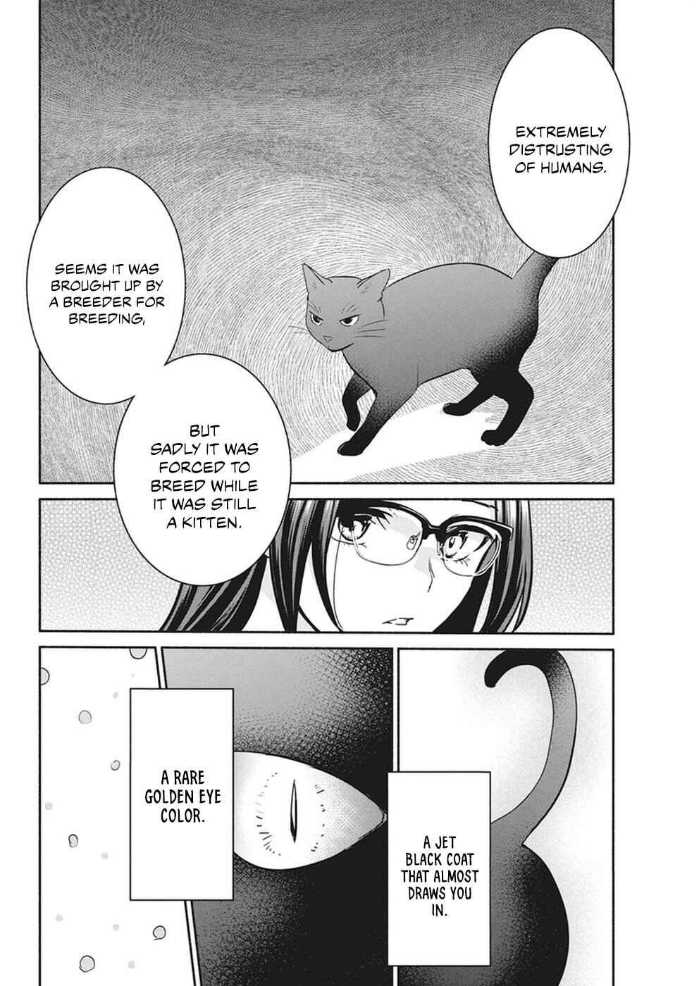 Page 13 Chapter 18 The Life of the Witch Who Remains Single for About 300 Years!