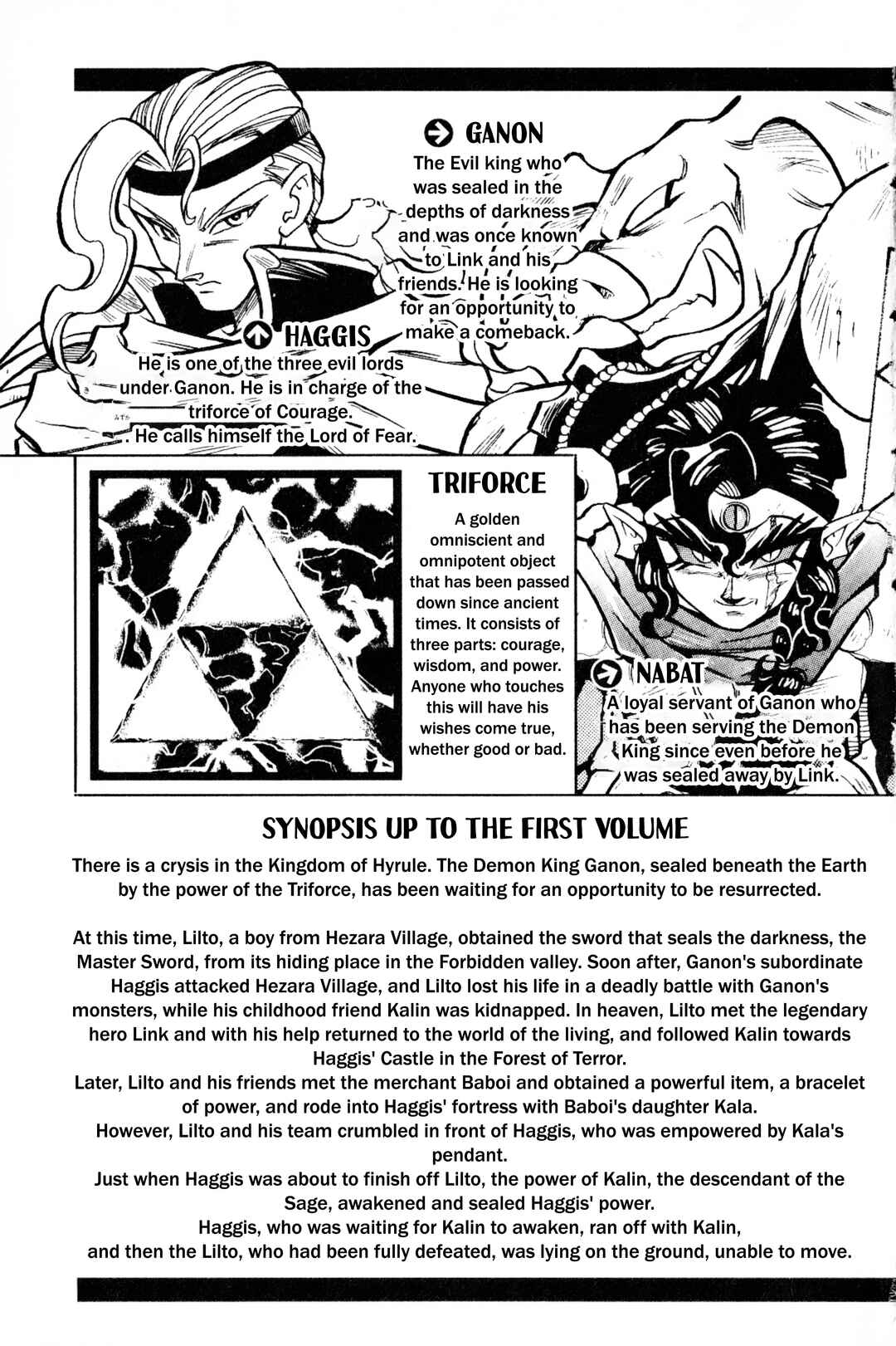 Page 5 Chapter 13 The Legend of Zelda: Oath of Lilto