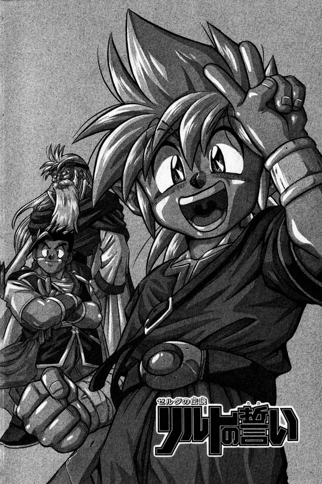Page 8 Chapter 13 The Legend of Zelda: Oath of Lilto