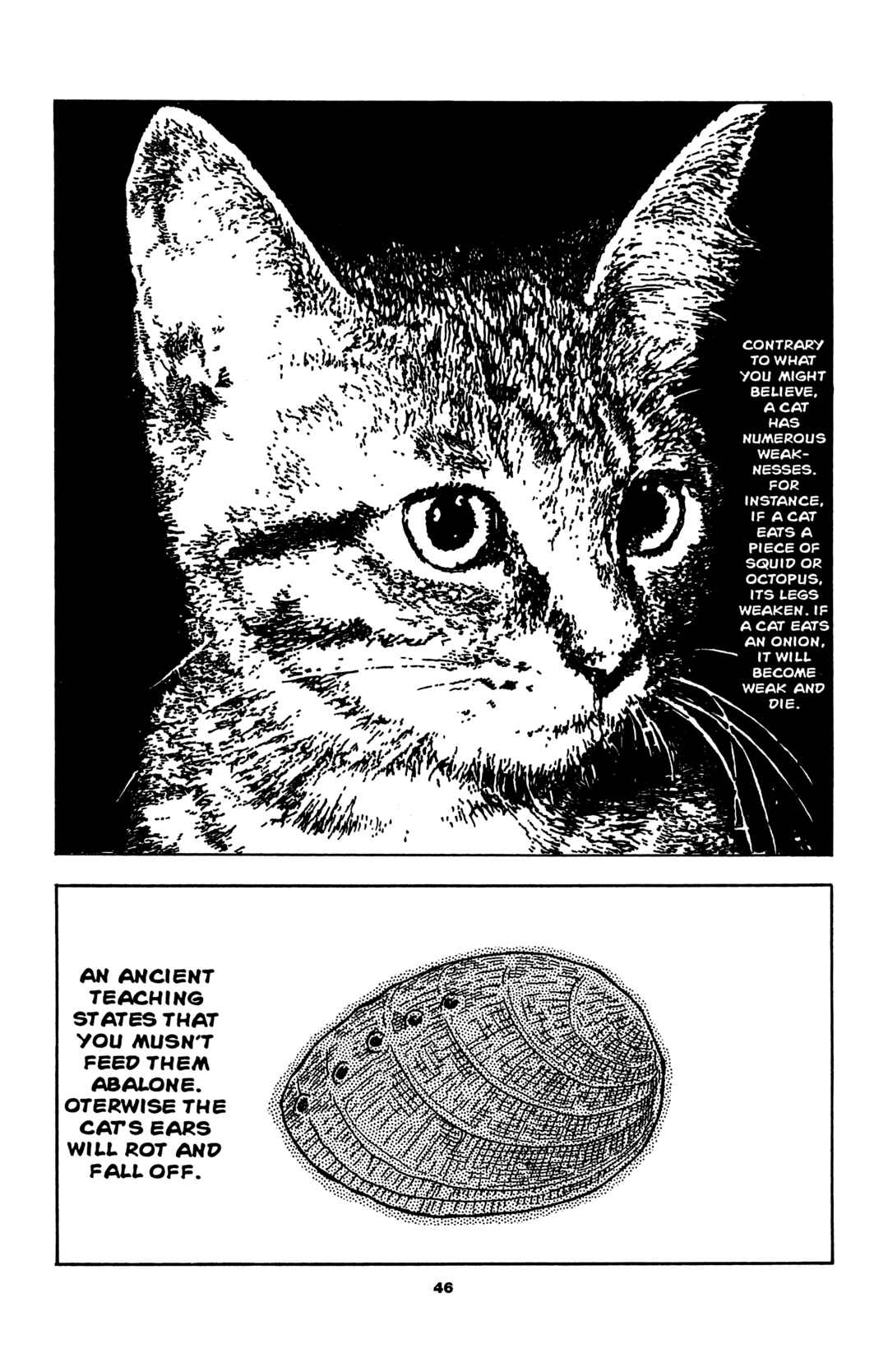 Page 2 Chapter 4 Sake Jock