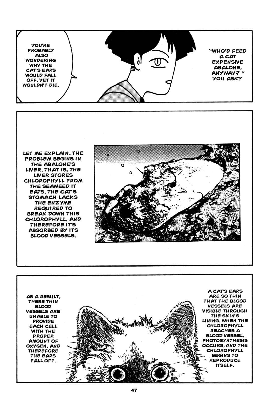 Page 3 Chapter 4 Sake Jock