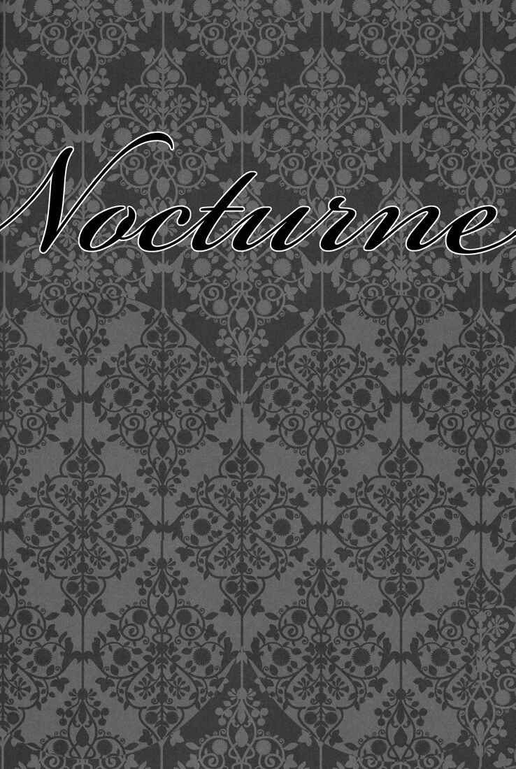 Page 38 Chapter Unknown_63de Katekyo Hitman Reborn! - Nocturne (Doujinshi)