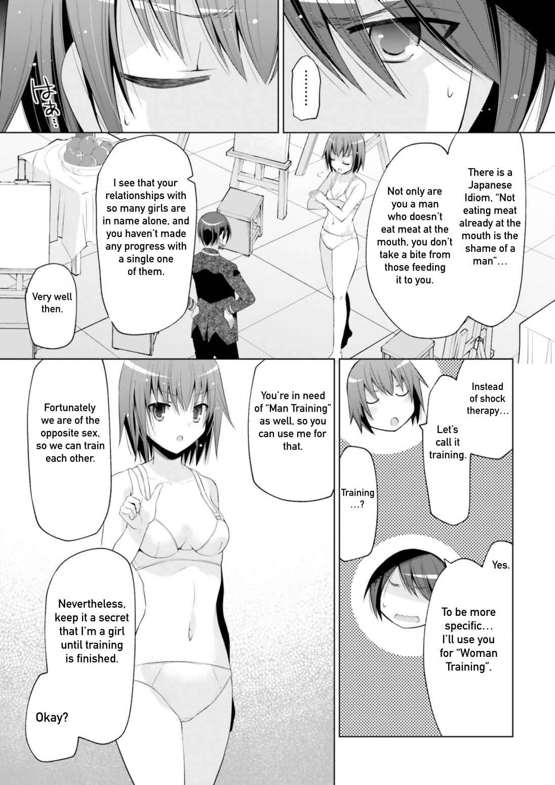 Page 3 Chapter 114 Hidan no Aria - G no Ketsuzoku