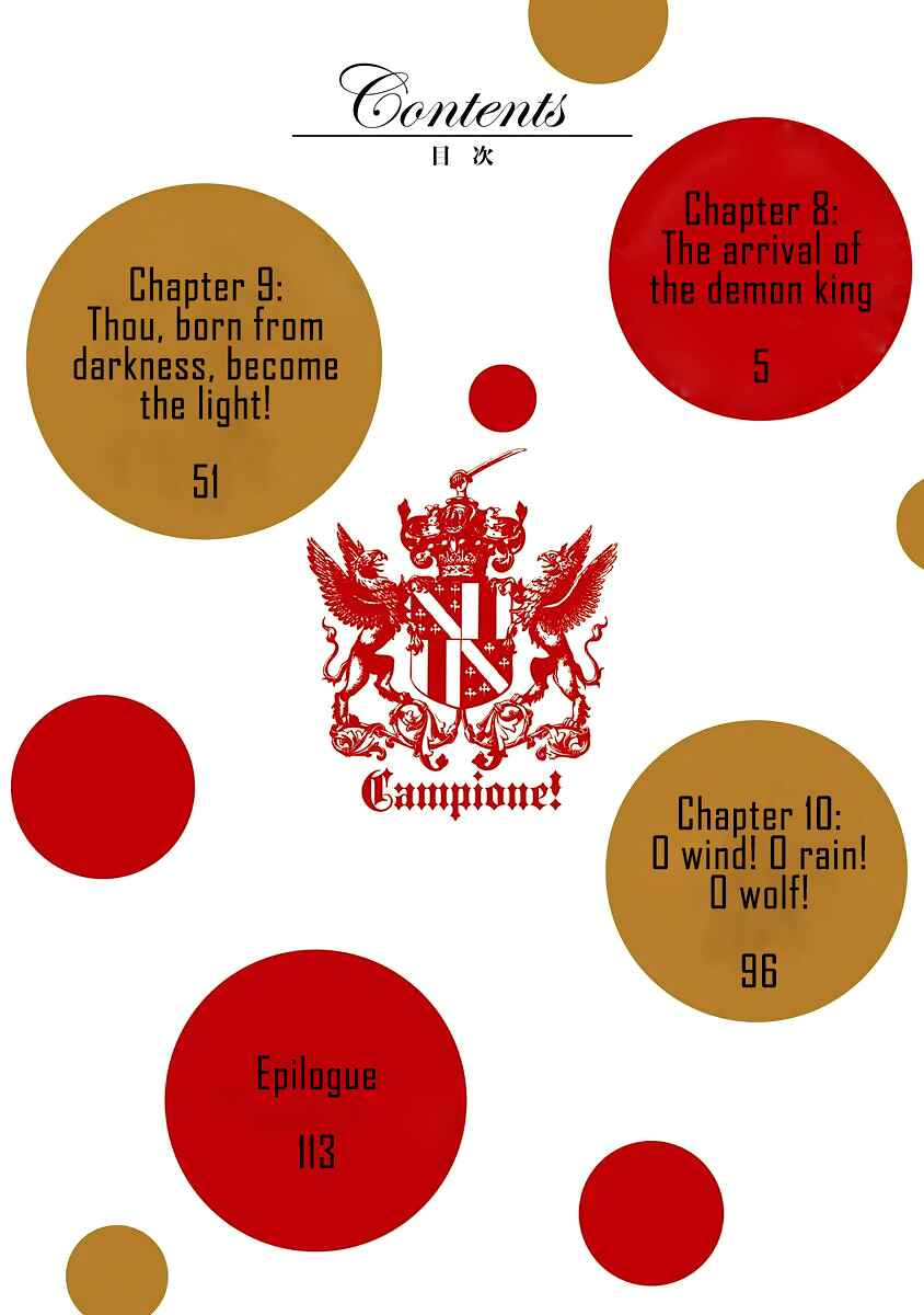 Page 5 Chapter 8 Campione!