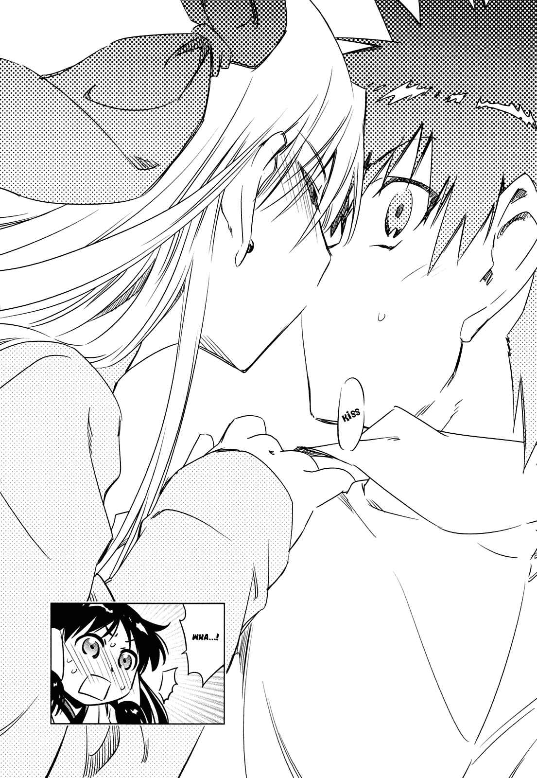 Page 28 Chapter 5 Campione!