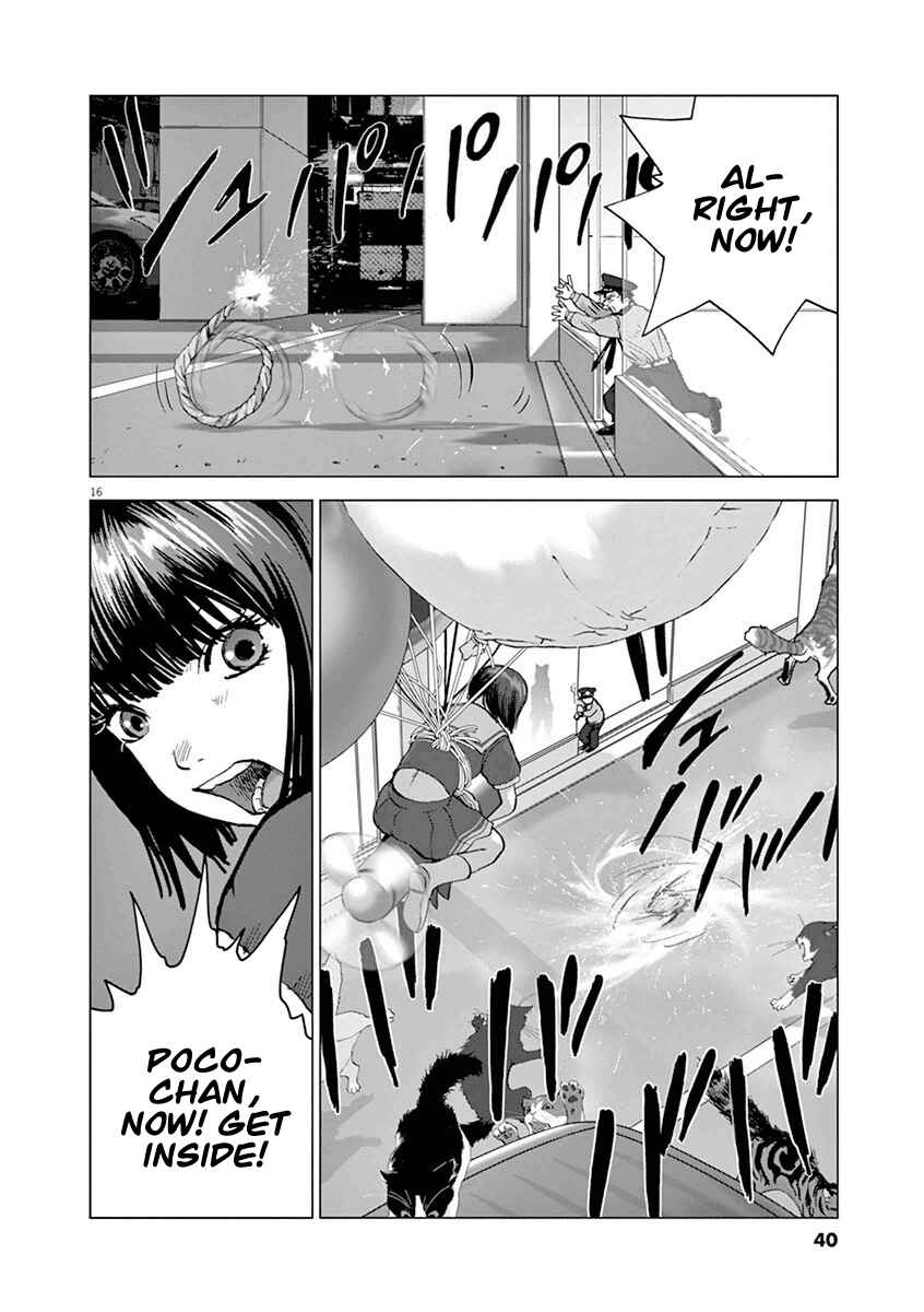 Page 16 Chapter 11 Wonderland