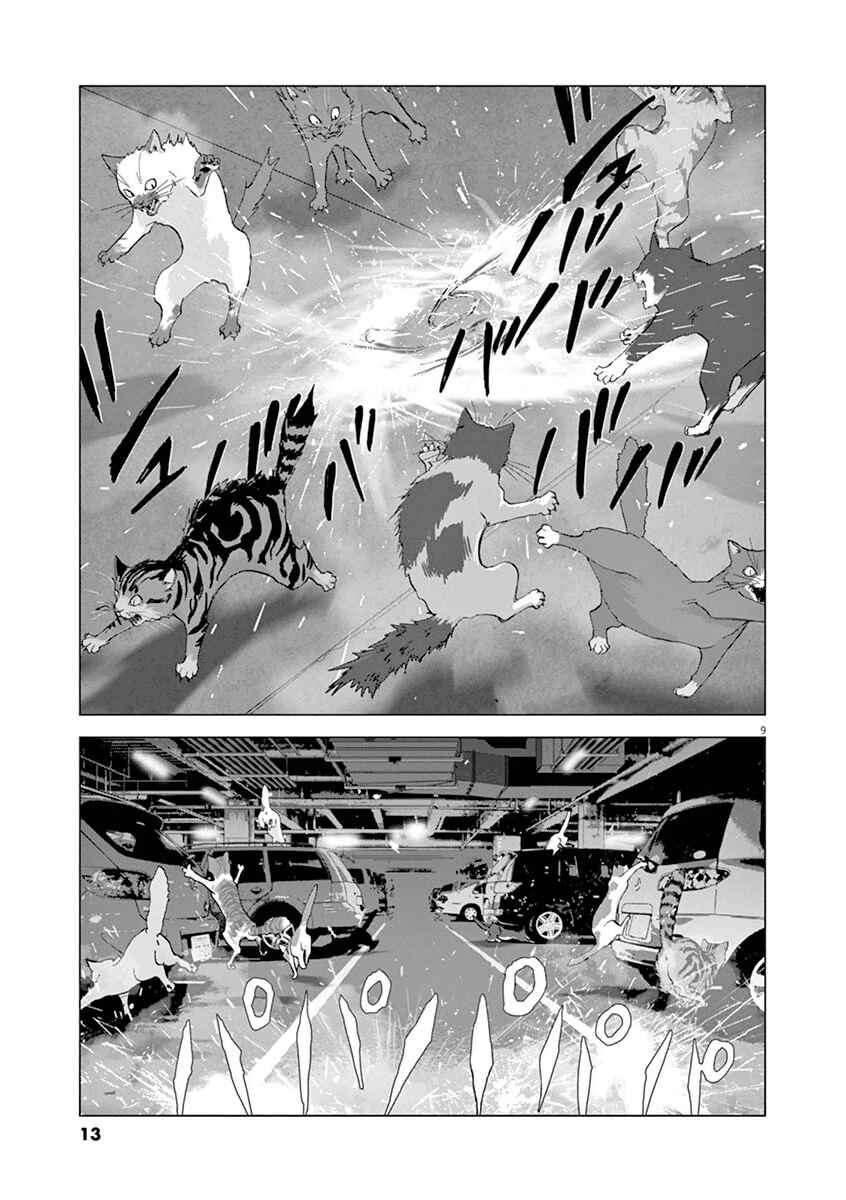 Page 12 Chapter 10 Wonderland