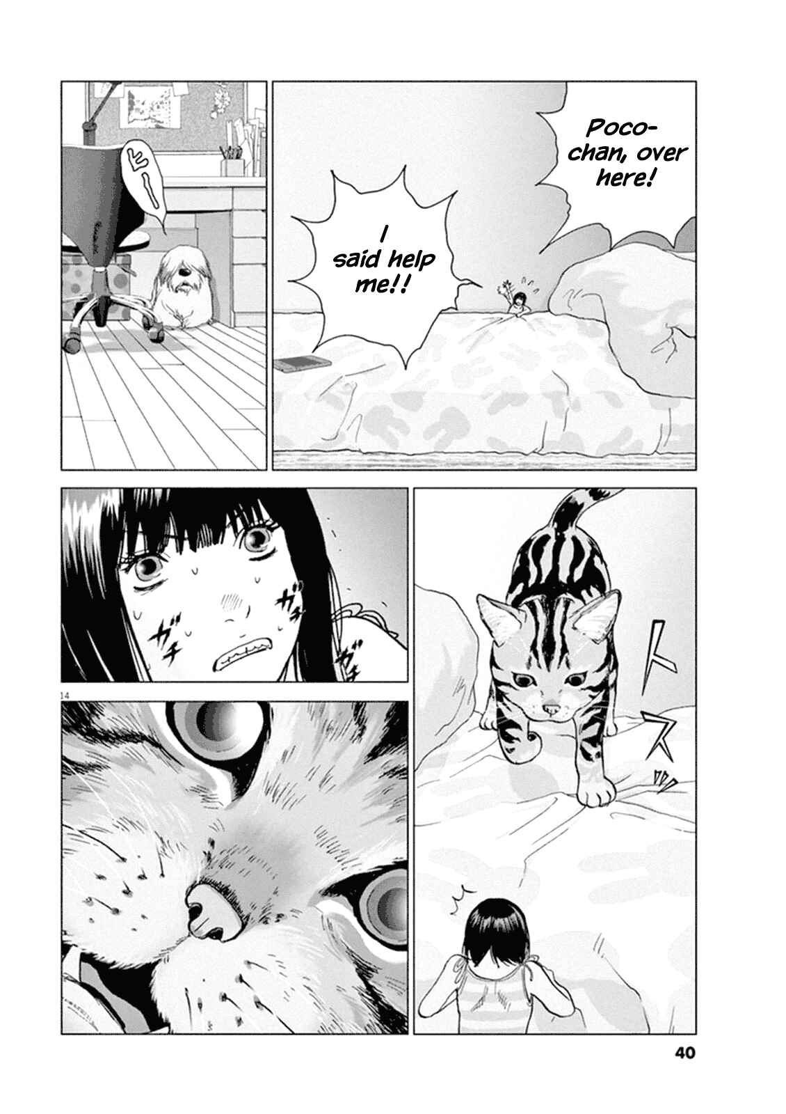 Page 12 Chapter 2 Wonderland