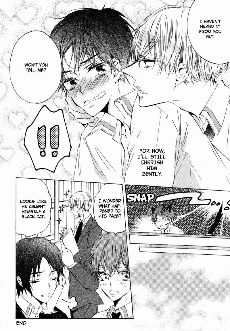 Page 19 Chapter 6 Prism Spectrum