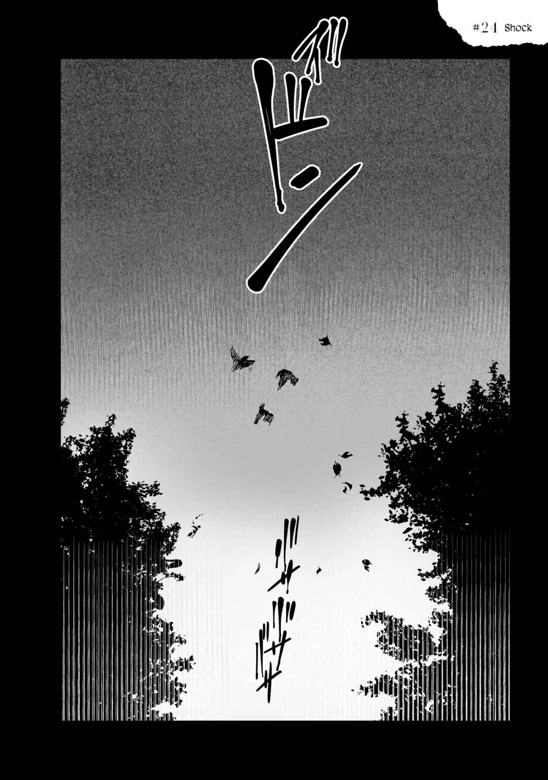 Page 2 Chapter 24 TRUMP