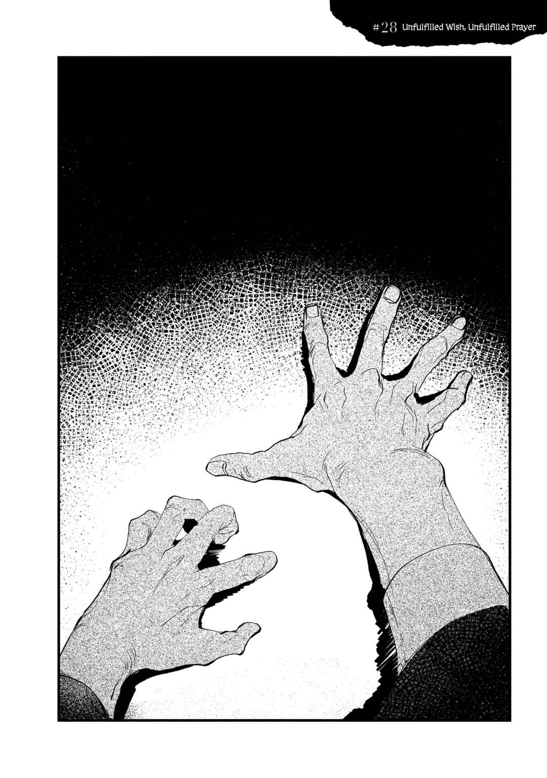 Page 2 Chapter 28 TRUMP