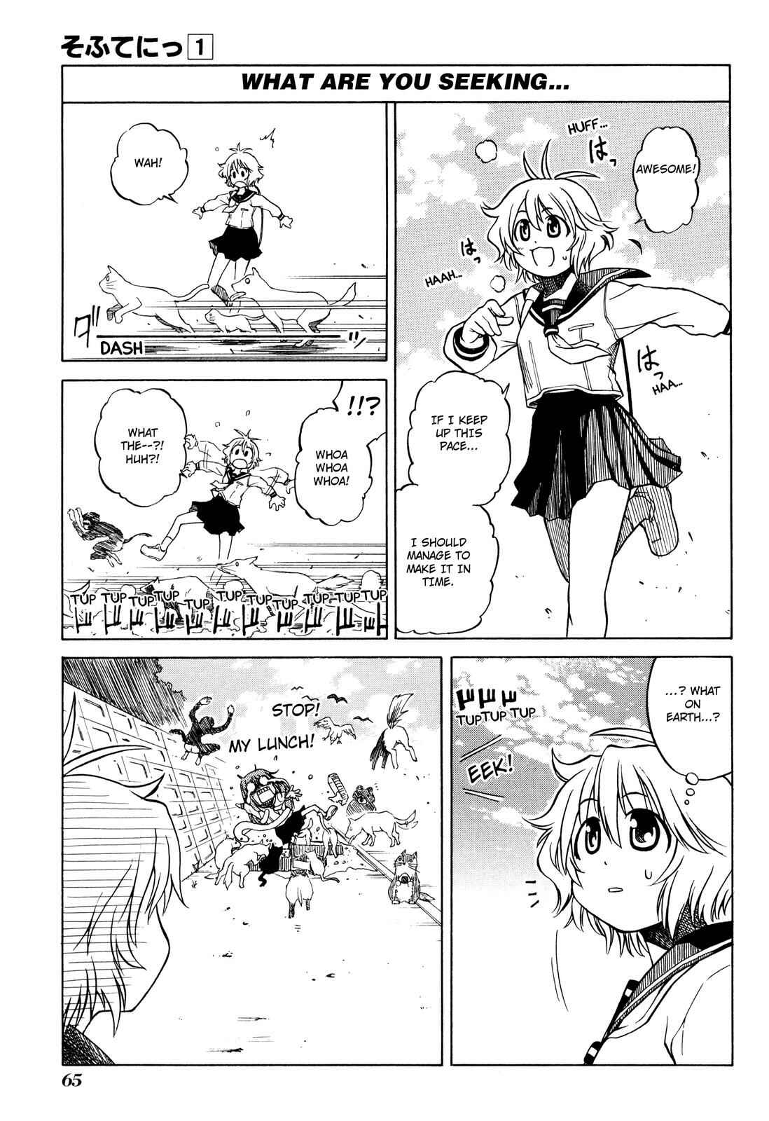 Page 13 Chapter 3 Softenni!