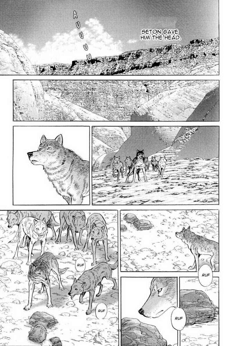 Page 9 Chapter 4 Seton