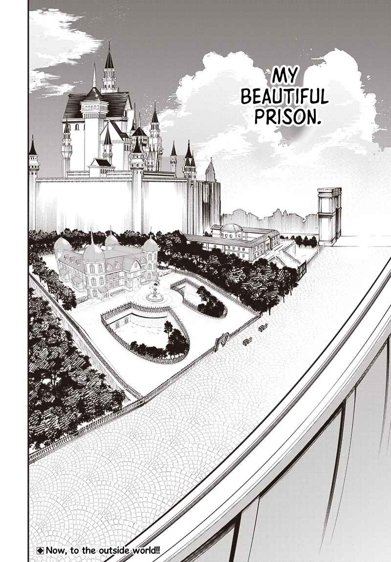 Page 29 Chapter 8 Tensei Arasaa Joshi no Kotoyo Kaikatsu - Seiryaku Kekkon wa Iya na no de, Zatsugaku Chishiki de Tanoshii Kaikaku Life wo Kekkou Shichaimasu!