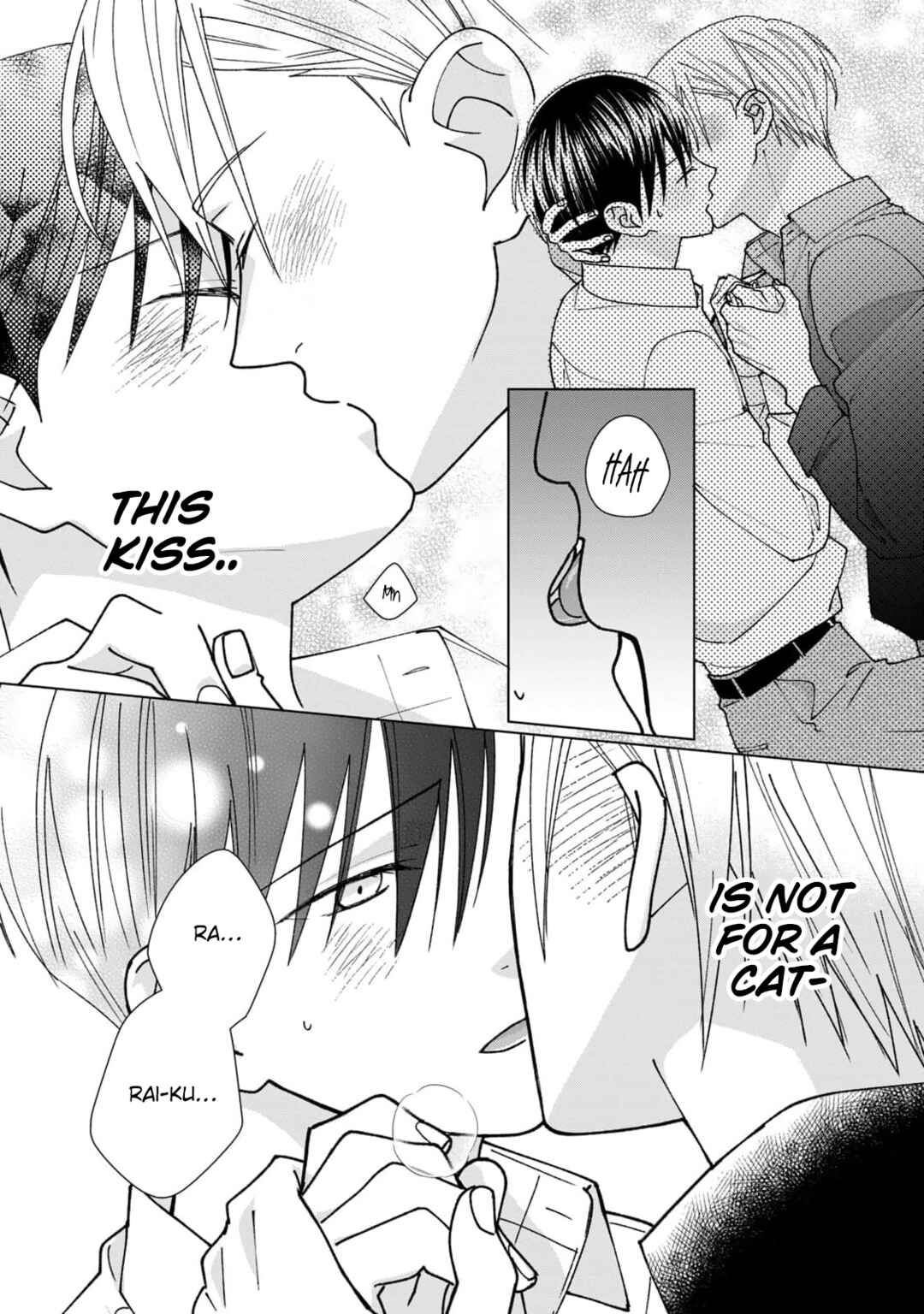Page 13 Chapter 8 Neko ni Naritai Tamagawa-kun
