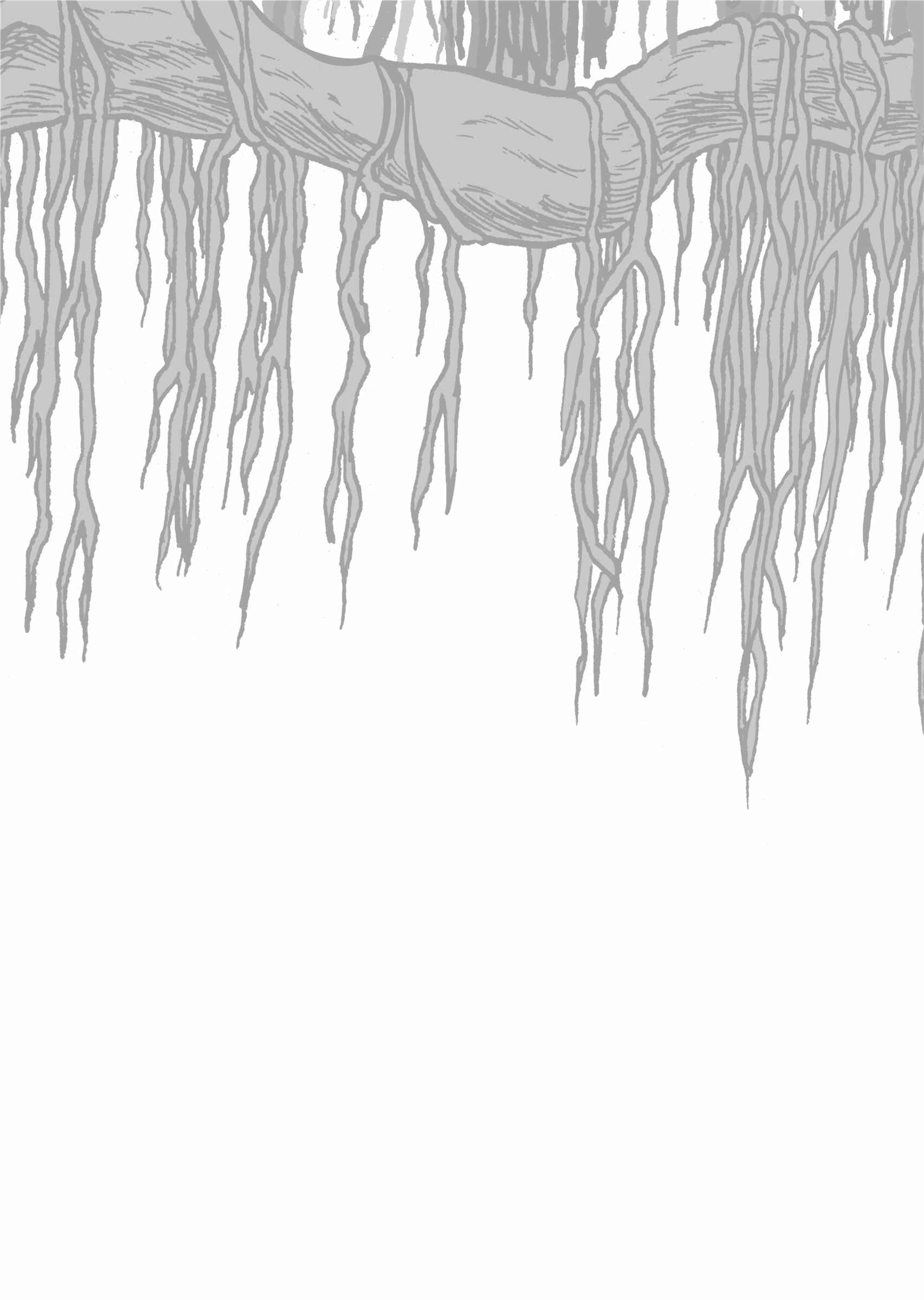 Page 38 Chapter 5 The Euphrates Tree
