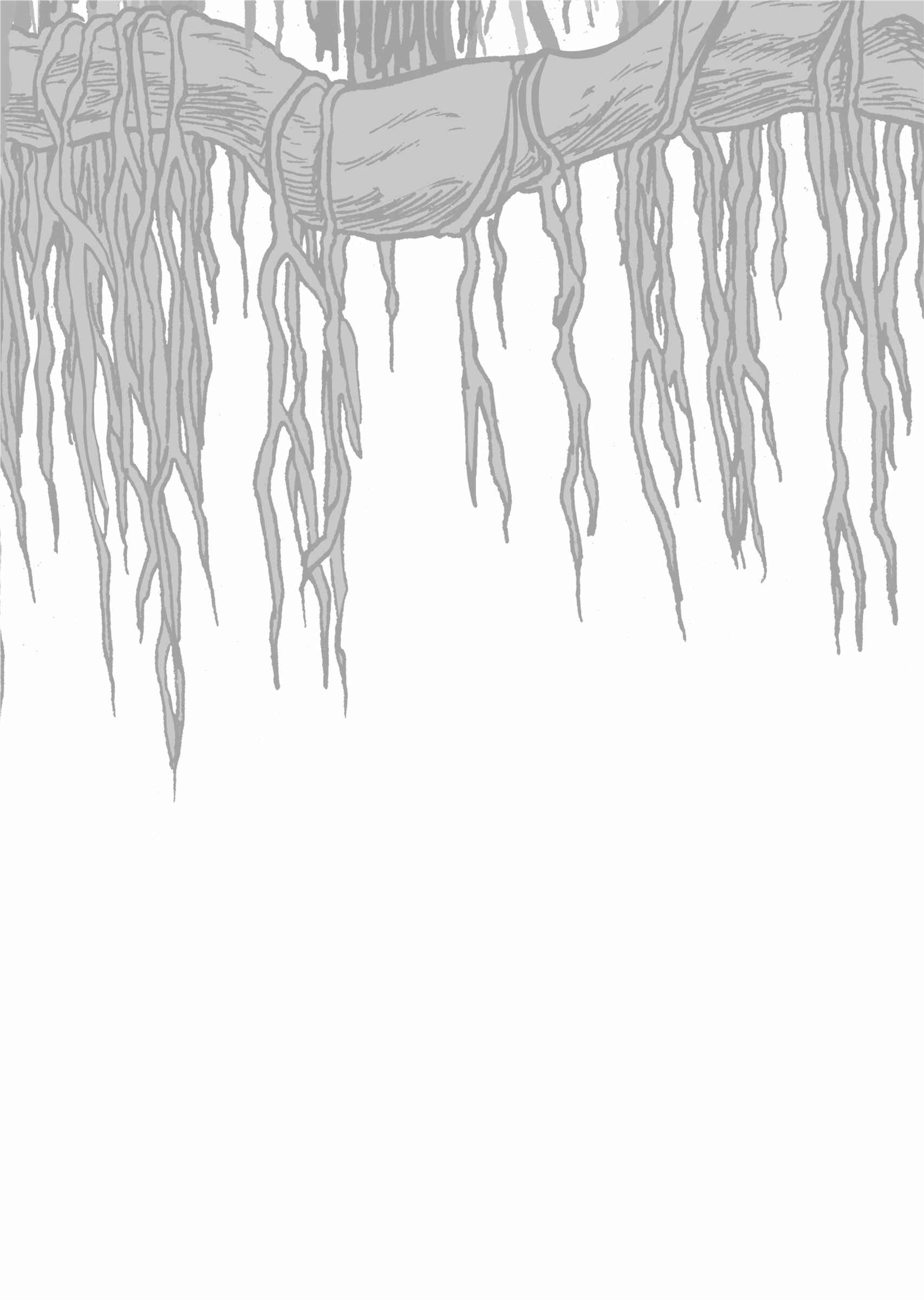 Page 40 Chapter 4 The Euphrates Tree