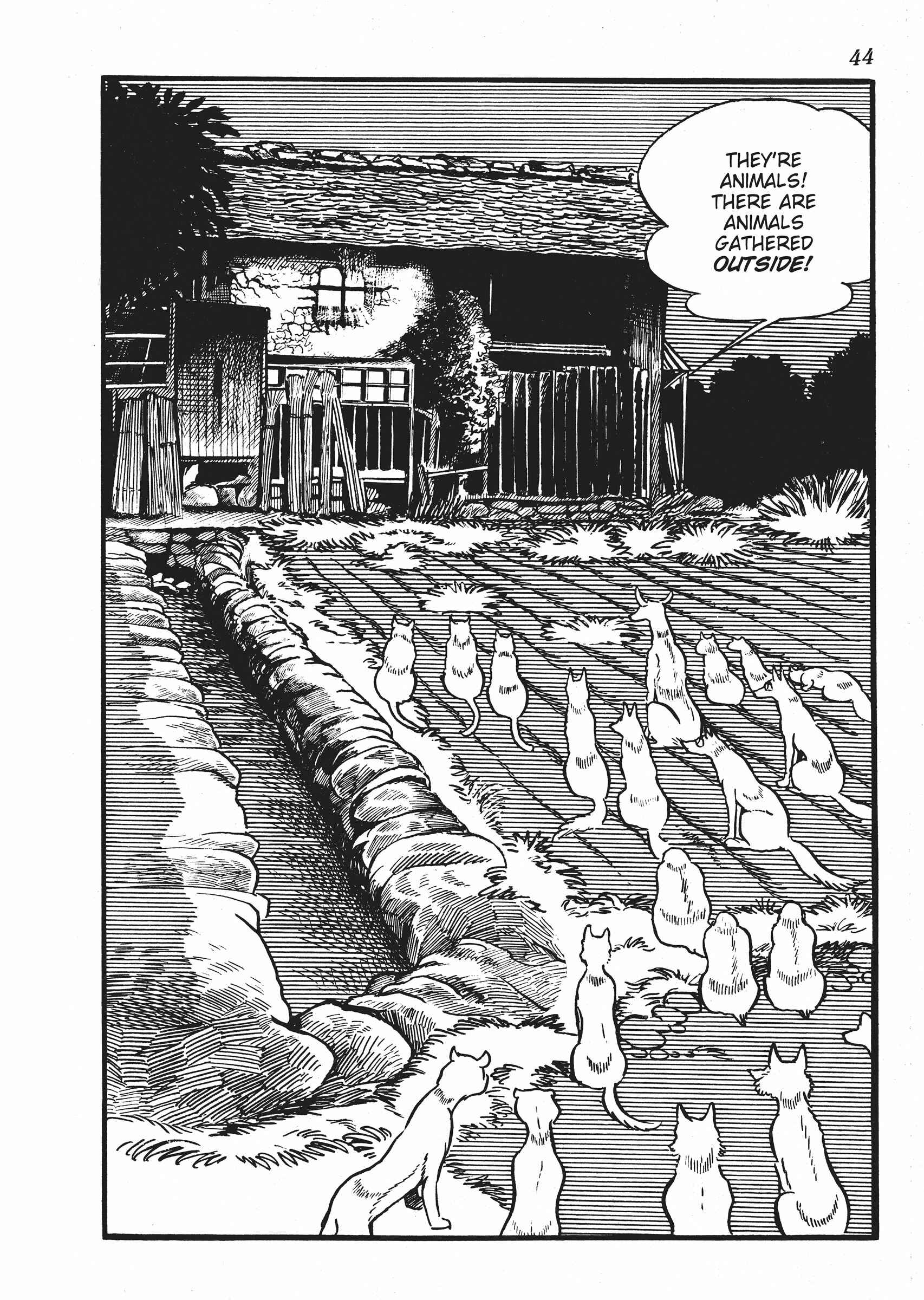 Page 4 Chapter 2 The Euphrates Tree