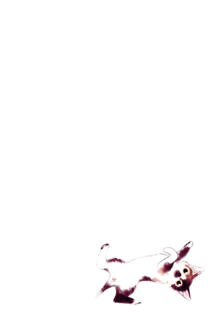 Page 3 Chapter 1 Okusama wa Joshikousei