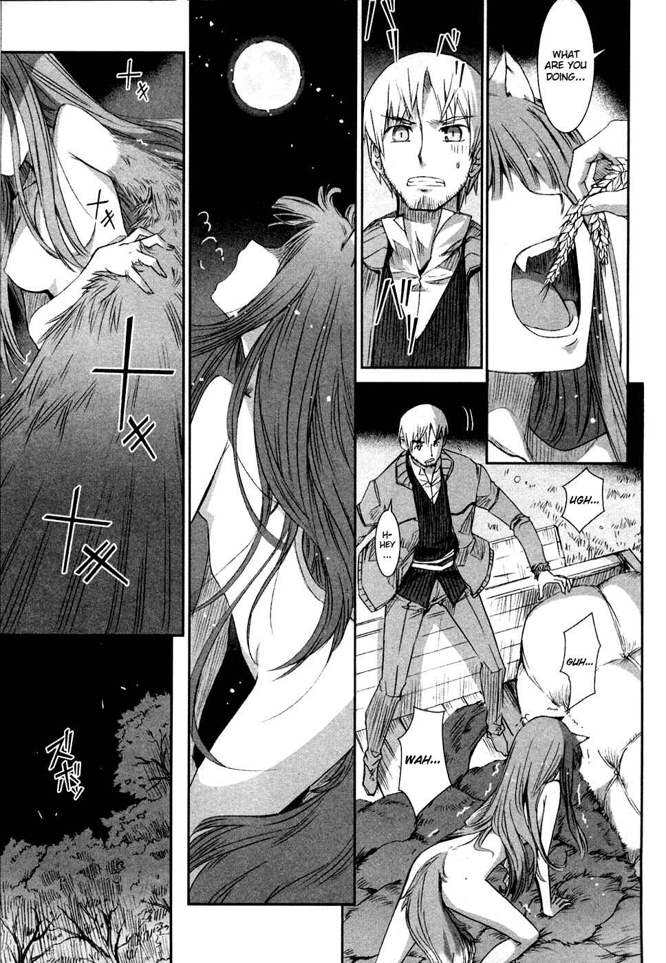 Page 14 Chapter 2 Spice and Wolf