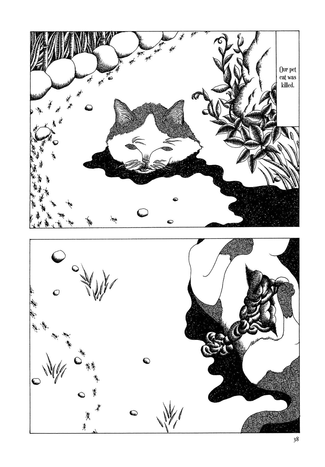 Page 19 Chapter 2 Child of God