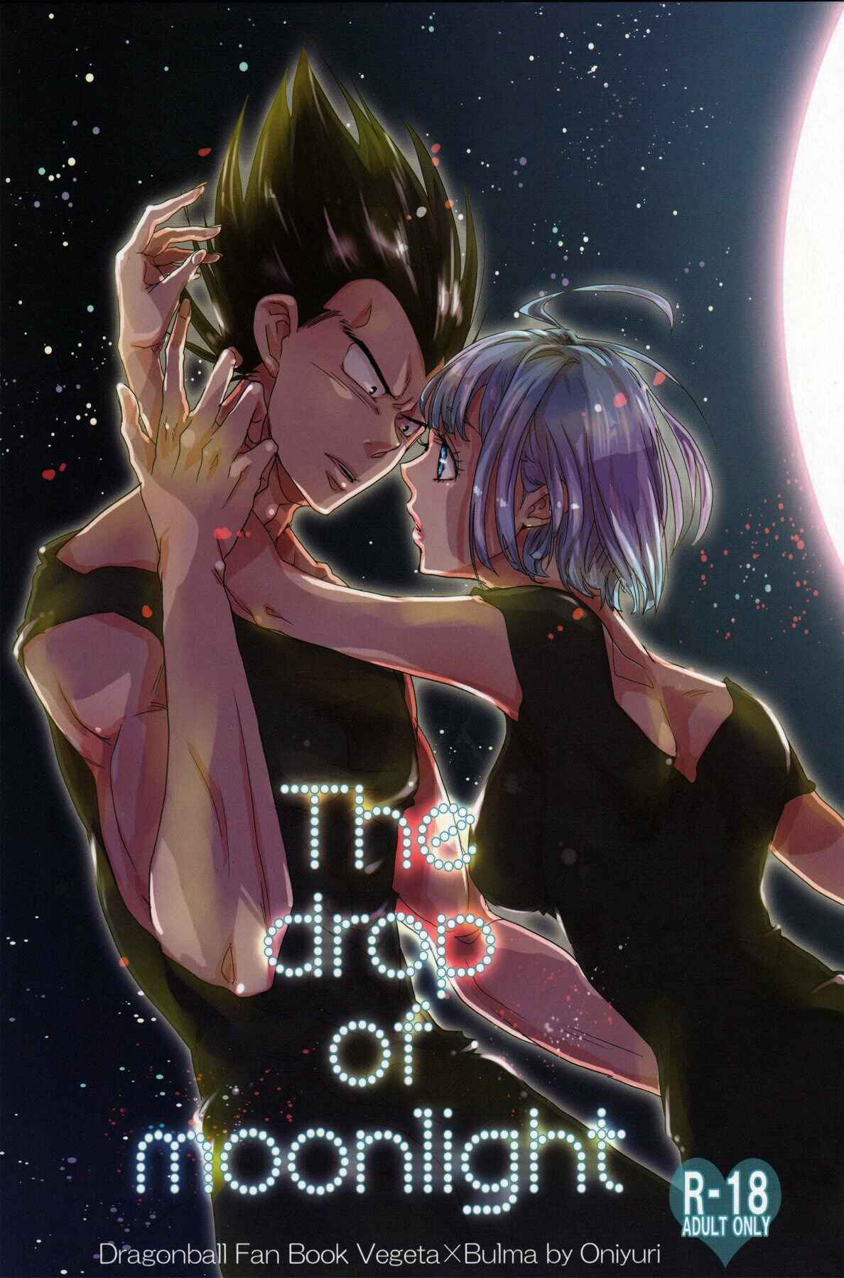 Page 1 Chapter Unknown_2a66 Dragon Ball - The Drop of Moonlight (Doujinshi)
