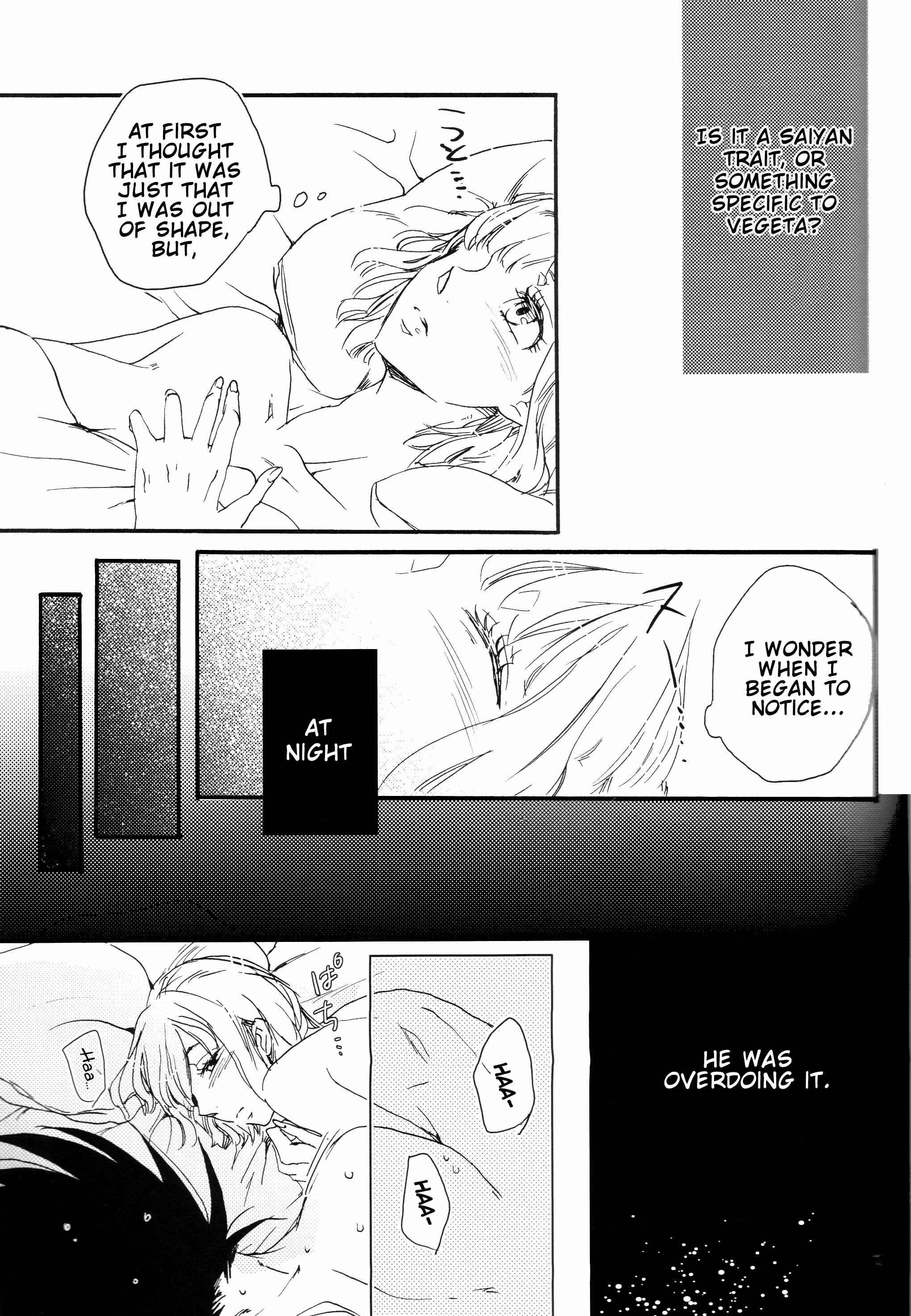 Page 13 Chapter Unknown_2a66 Dragon Ball - The Drop of Moonlight (Doujinshi)