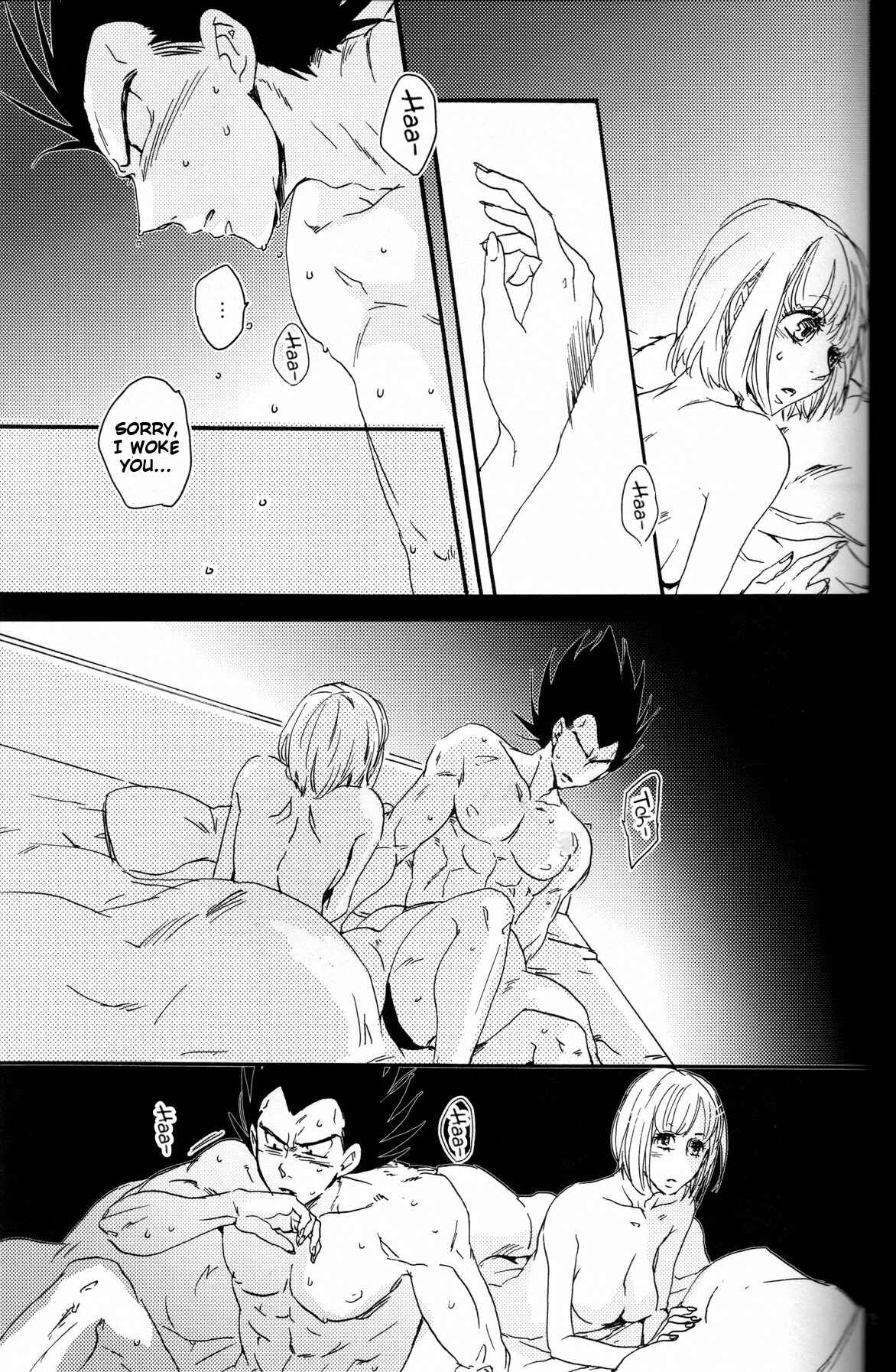 Page 15 Chapter Unknown_2a66 Dragon Ball - The Drop of Moonlight (Doujinshi)