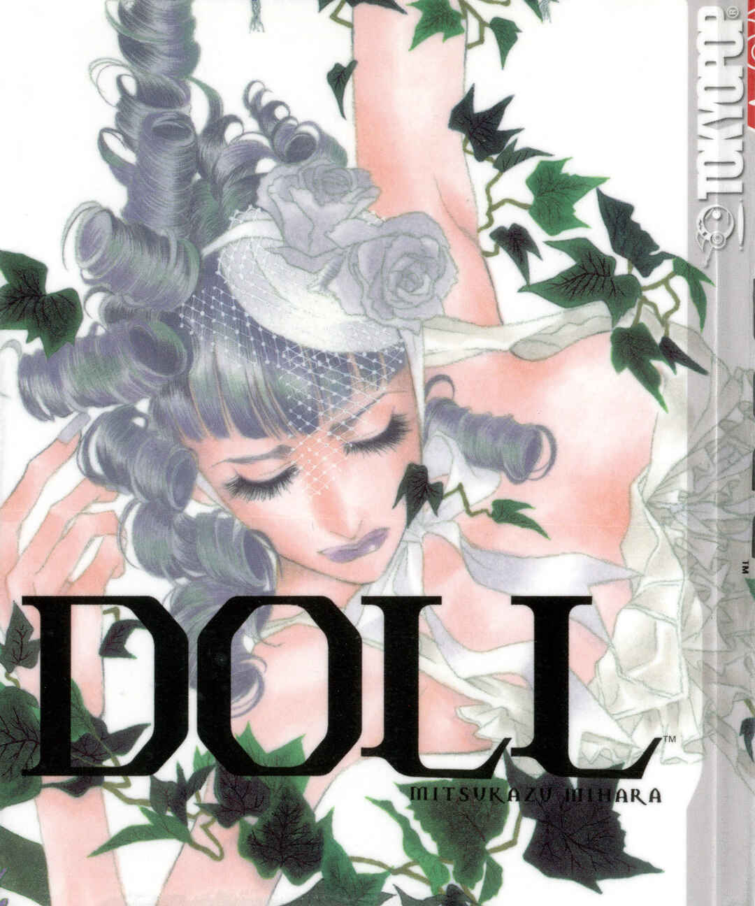Page 1 Chapter 13 DOLL: IC in a Doll