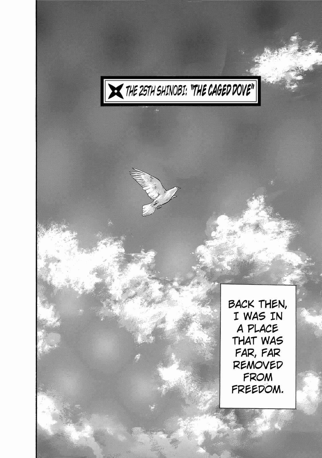 Page 4 Chapter 25 Ninja Papa