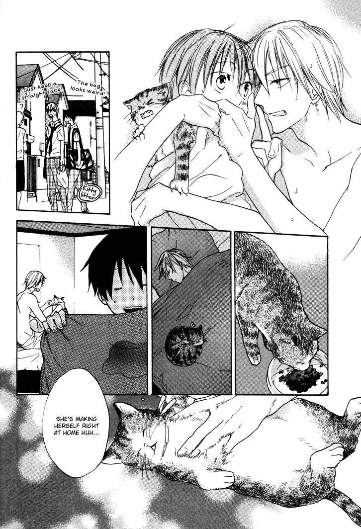 Page 4 Chapter 14 Rutta to Kodama
