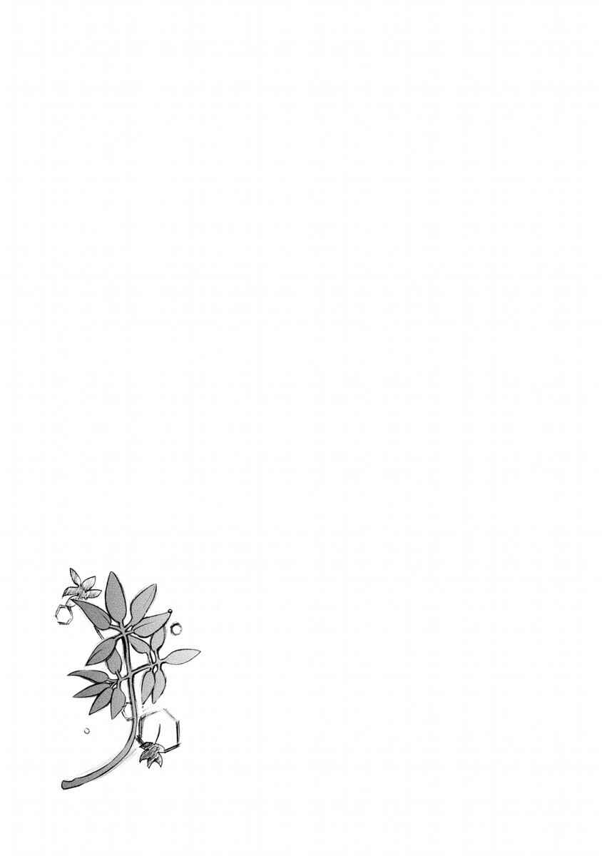 Page 31 Chapter 7 Zero no Tsukaima Gaiden: Tabasa no Bouken