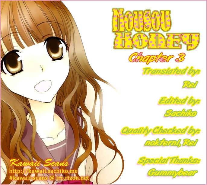 Page 33 Chapter 3 Honey Delusion