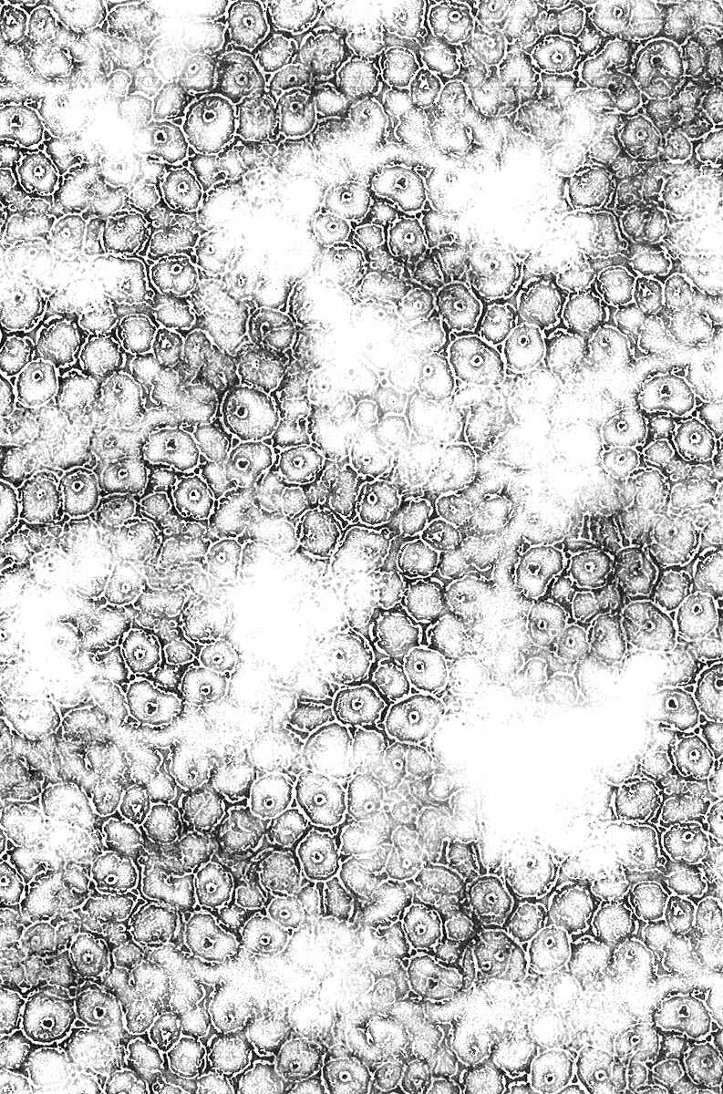 Page 32 Chapter 5 Pandemic
