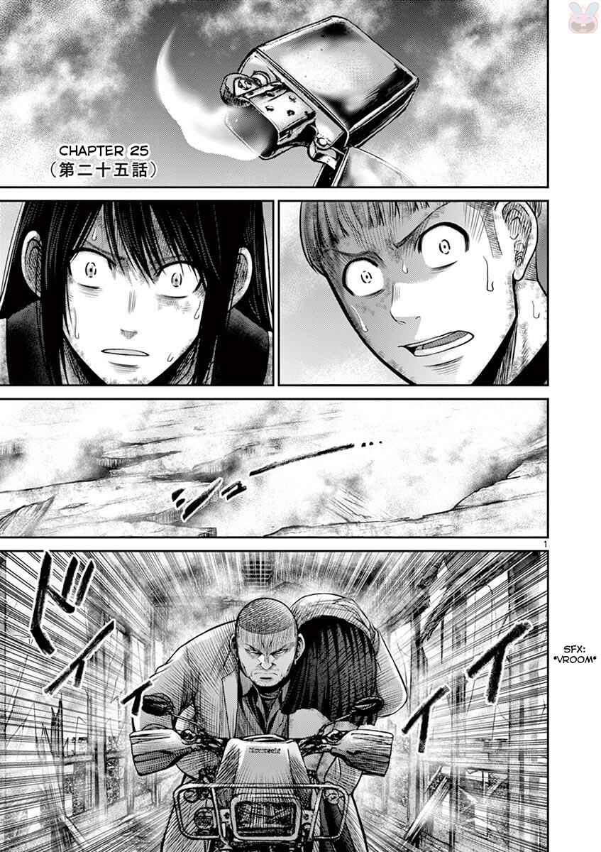 Page 1 Chapter 25 Alice on Border Road