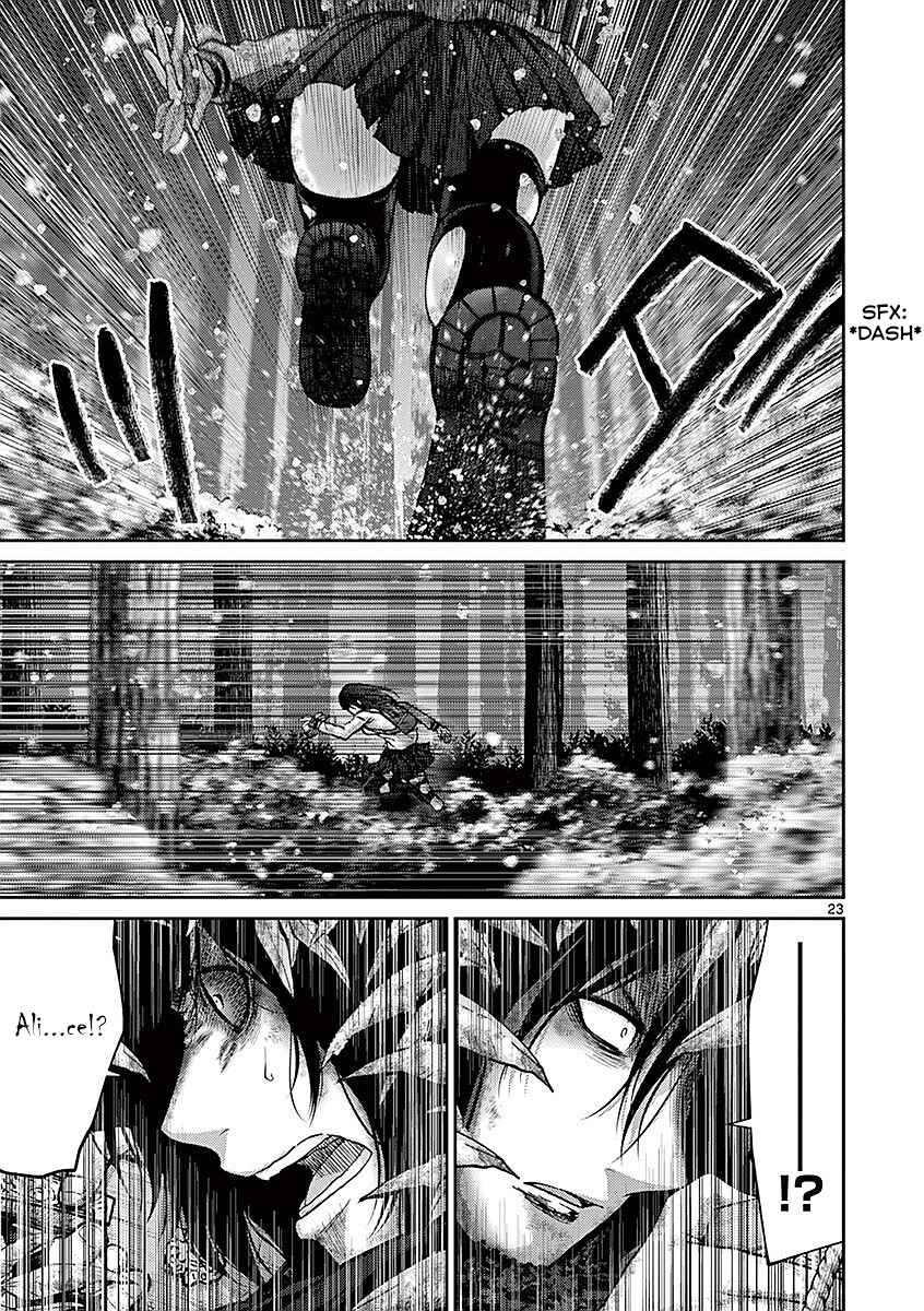 Page 23 Chapter 19 Alice on Border Road