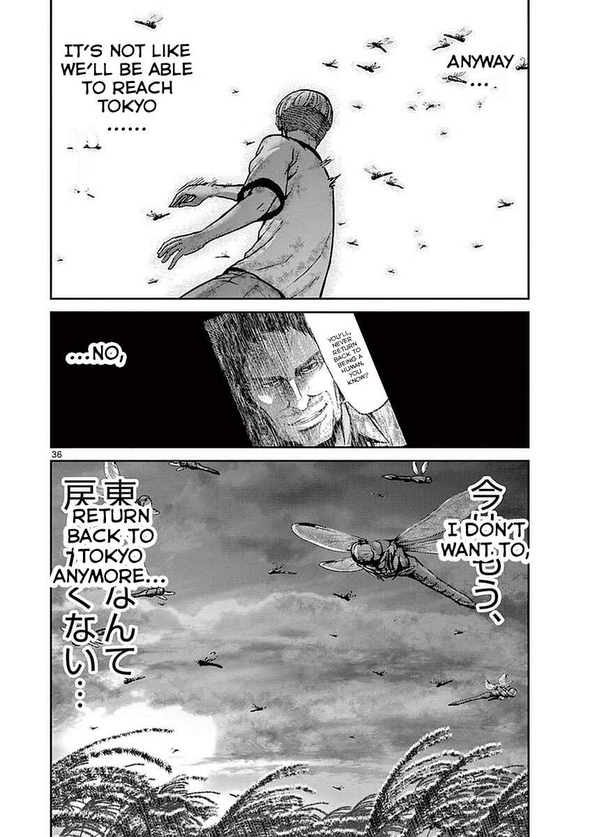 Page 34 Chapter 14 Alice on Border Road