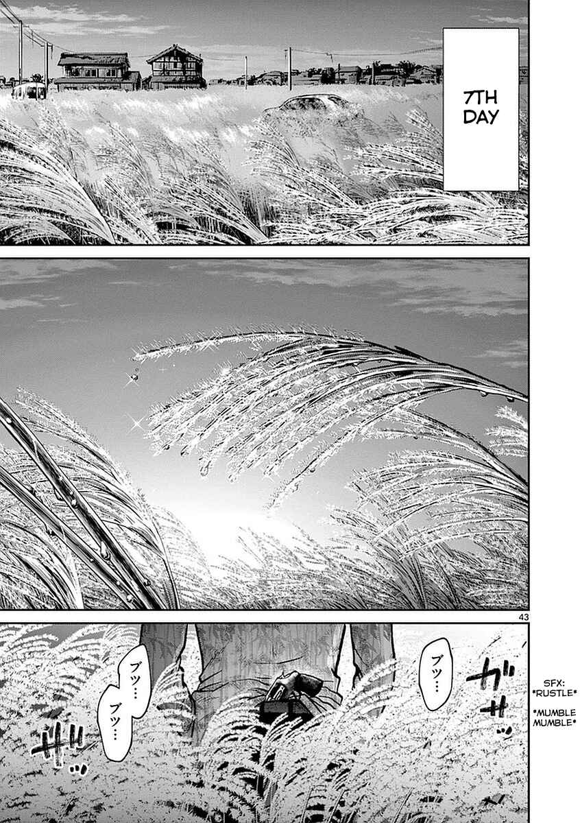 Page 41 Chapter 14 Alice on Border Road