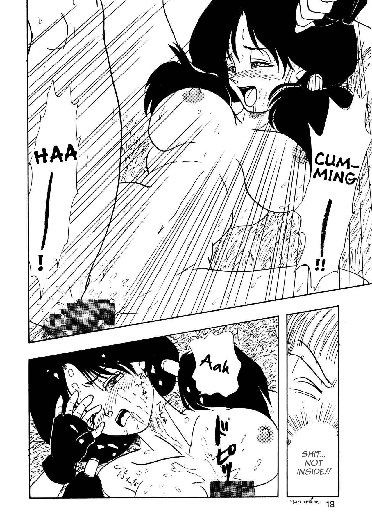 Page 18 Chapter Unknown_4ca0 Dragon Ball - YYY (Doujinshi)